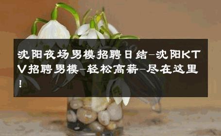 沈阳夜场男模招聘日结-沈阳KTV招聘男模-轻松高薪-尽在这里！ 