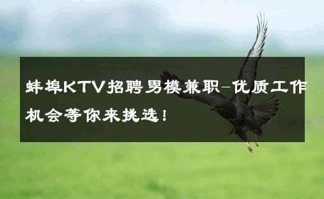 蚌埠KTV招聘男模兼职-优质工作机会等你来挑选！ 