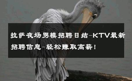 拉萨夜场男模招聘日结-KTV最新招聘信息-轻松赚取高薪！ 