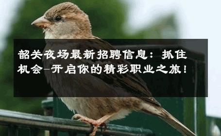 韶关夜场最新招聘信息：抓住机会-开启你的精彩职业之旅！ 