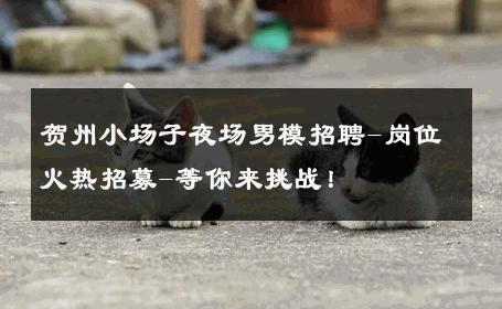 贺州小场子夜场男模招聘-岗位火热招募-等你来挑战！ 