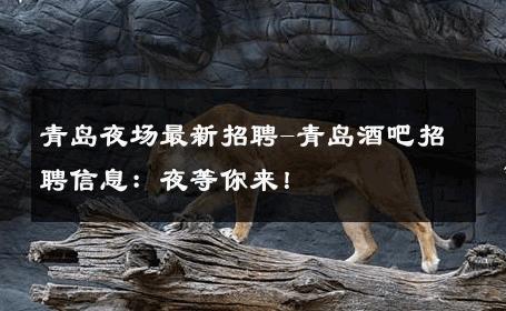 青岛夜场最新招聘-青岛酒吧招聘信息：夜等你来！ 