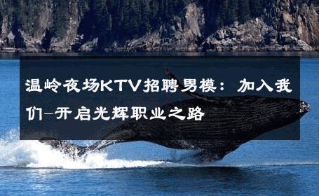 温岭夜场KTV招聘男模：加入我们-开启光辉职业之路 