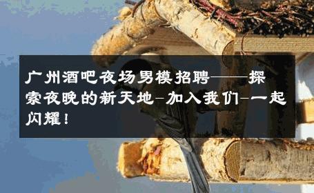 广州酒吧夜场男模招聘——探索夜晚的新天地-加入我们-一起闪耀！ 