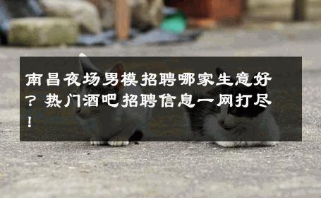 南昌夜场男模招聘哪家生意好？热门酒吧招聘信息一网打尽！ 