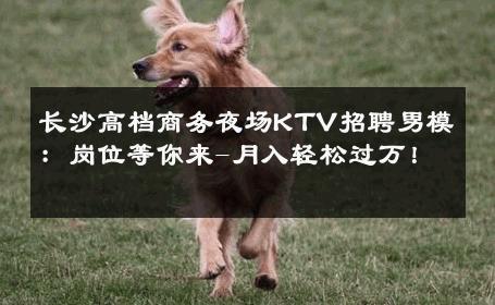 长沙高档商务夜场KTV招聘男模：岗位等你来-月入轻松过万！ 