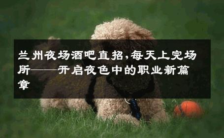 兰州夜场酒吧直招,每天上完场所——开启夜色中的职业新篇章 
