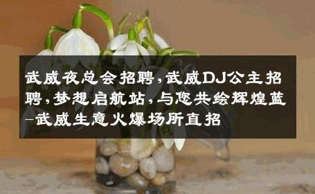 武威夜总会招聘,武威DJ公主招聘,梦想启航站,与您共绘辉煌蓝-武威生意火爆场所直招
