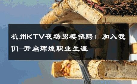 杭州KTV夜场男模招聘：加入我们-开启辉煌职业生涯 