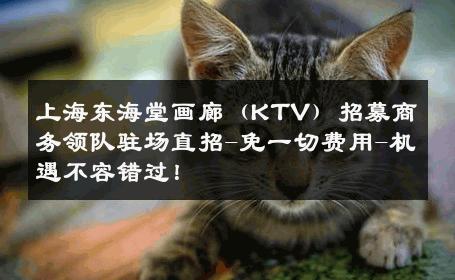 上海东海堂画廊（KTV）招募商务领队驻场直招-免一切费用-机遇不容错过！ 