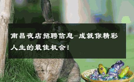 南昌夜店招聘信息-成就你精彩人生的最佳机会！ 