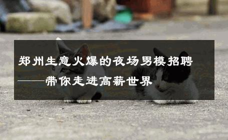 郑州生意火爆的夜场男模招聘——带你走进高薪世界 