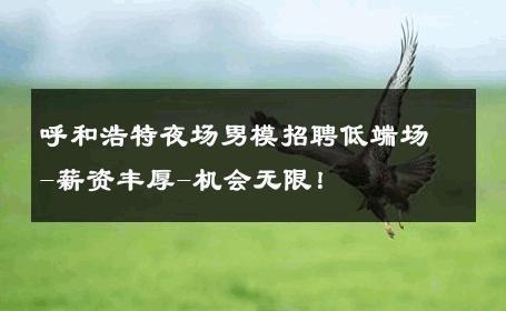 呼和浩特夜场男模招聘低端场-薪资丰厚-机会无限！ 