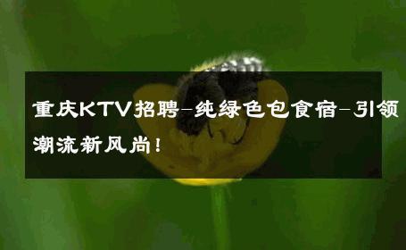重庆KTV招聘-纯绿色包食宿-引领潮流新风尚！ 