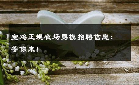 宝鸡正规夜场男模招聘信息：等你来！ 