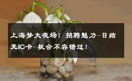 上海梦大夜场！招聘魅力-日结无IC卡-机会不容错过！ 