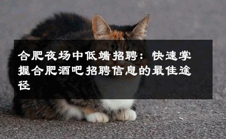 合肥夜场中低端招聘：快速掌握合肥酒吧招聘信息的最佳途径 