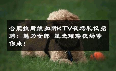 合肥拉斯维加斯KTV夜场礼仪招聘：魅力女郎-星光璀璨夜场等你来！ 