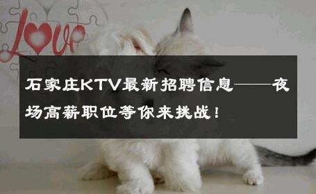 石家庄KTV最新招聘信息——夜场高薪职位等你来挑战！ 
