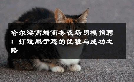 哈尔滨高端商务夜场男模招聘：打造属于您的优雅与成功之路 