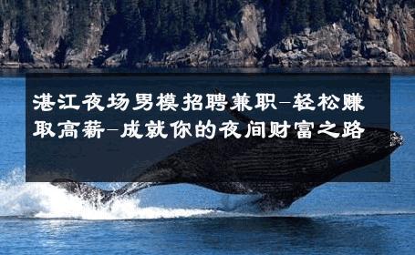湛江夜场男模招聘兼职-轻松赚取高薪-成就你的夜间财富之路 