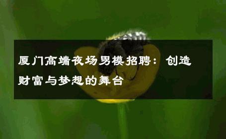 厦门高端夜场男模招聘：创造财富与梦想的舞台 