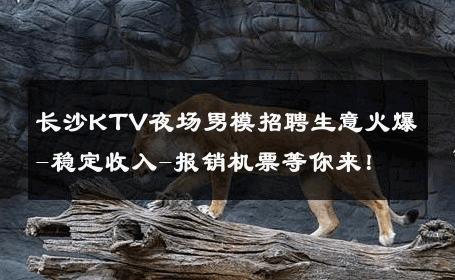 长沙KTV夜场男模招聘生意火爆-稳定收入-报销机票等你来！ 
