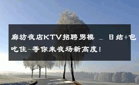 廊坊夜店KTV招聘男模 _ 日结+包吃住-等你来夜场新高度！ 