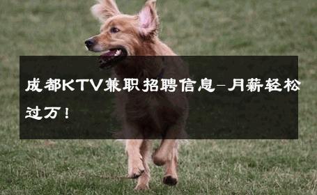 成都KTV兼职招聘信息-月薪轻松过万！ 