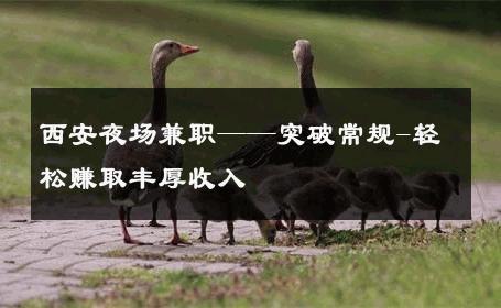 西安夜场兼职——突破常规-轻松赚取丰厚收入 
