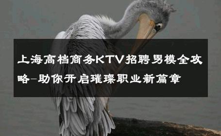 上海高档商务KTV招聘男模全攻略-助你开启璀璨职业新篇章 