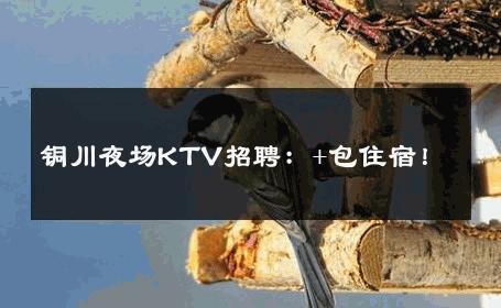 铜川夜场KTV招聘：+包住宿！ 
