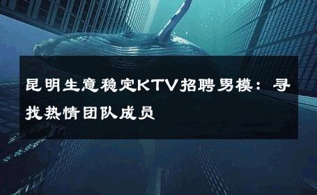 昆明生意稳定KTV招聘男模：寻找热情团队成员 