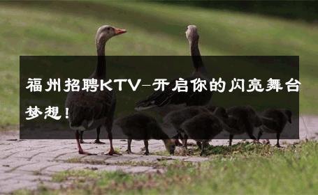 福州招聘KTV-开启你的闪亮舞台梦想！ 