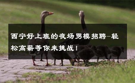 西宁好上班的夜场男模招聘-轻松高薪等你来挑战！ 