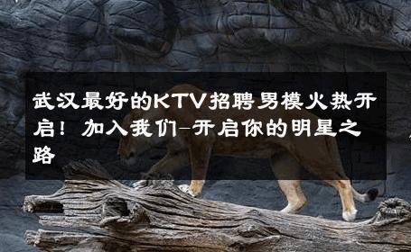 武汉最好的KTV招聘男模火热开启！加入我们-开启你的明星之路 