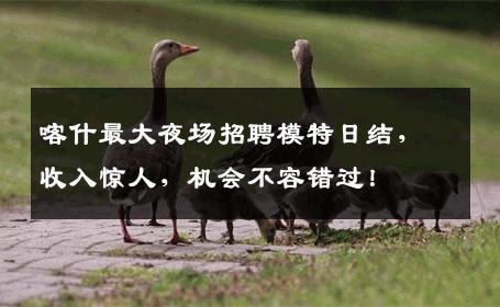 喀什最大夜场招聘模特日结，收入惊人，机会不容错过！
