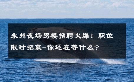永州夜场男模招聘火爆！职位限时招募-你还在等什么？ 