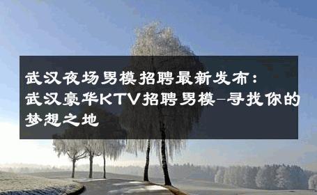 武汉夜场男模招聘最新发布：武汉豪华KTV招聘男模-寻找你的梦想之地 