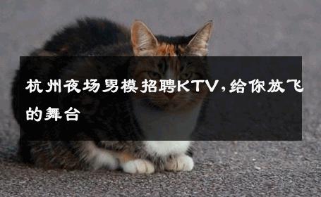 杭州夜场男模招聘KTV,给你放飞的舞台 