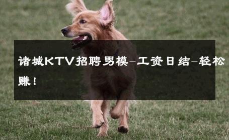 诸城KTV招聘男模-工资日结-轻松赚！ 