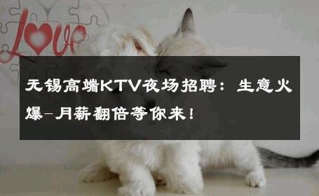 无锡高端KTV夜场招聘：生意火爆-月薪翻倍等你来！ 