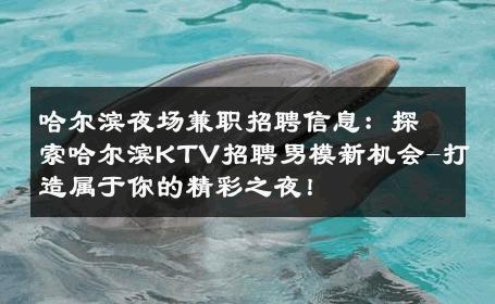 哈尔滨夜场兼职招聘信息：探索哈尔滨KTV招聘男模新机会-打造属于你的精彩之夜！ 