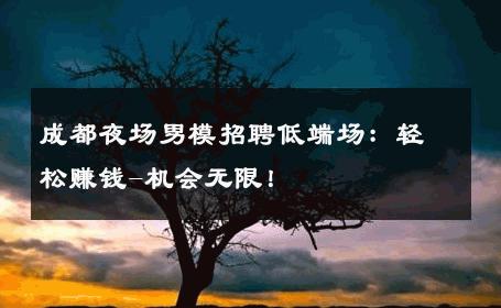 成都夜场男模招聘低端场：轻松赚钱-机会无限！ 