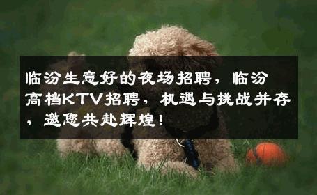临汾生意好的夜场招聘，临汾高档KTV招聘，机遇与挑战并存，邀您共赴辉煌！