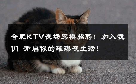 合肥KTV夜场男模招聘：加入我们-开启你的璀璨夜生活！ 