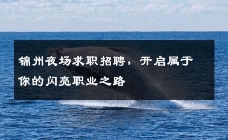 锦州夜场求职招聘，开启属于你的闪亮职业之路