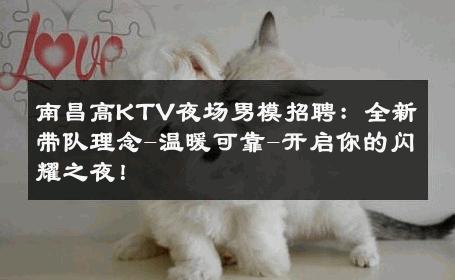 南昌高KTV夜场男模招聘：全新带队理念-温暖可靠-开启你的闪耀之夜！ 