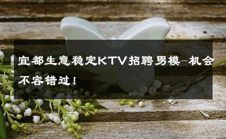宜都生意稳定KTV招聘男模-机会不容错过！ 
