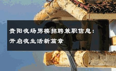 贵阳夜场男模招聘兼职信息：开启夜生活新篇章 